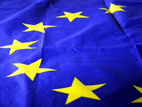 Mer information om riksdagen och EU​.