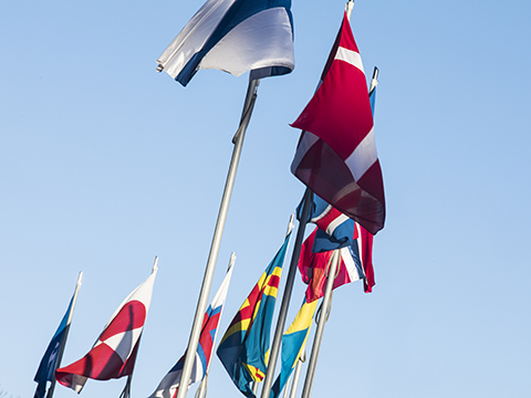 Mer information om internationell verksamhet.​