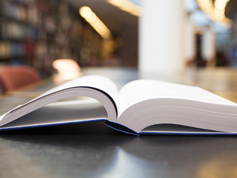 Mer information om riksdagshandlingarna.