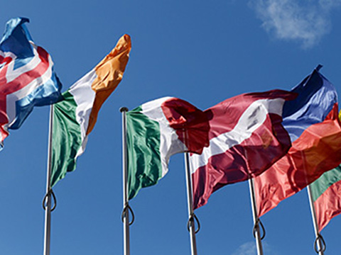 Mer information om utländsk rätt.