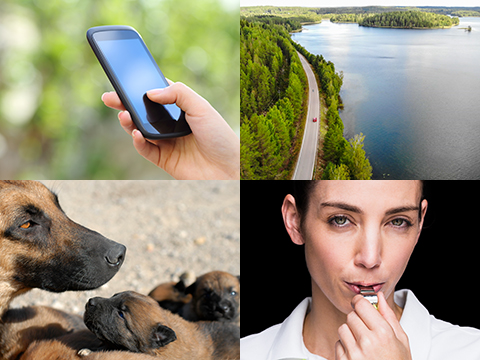 Mer information om experttjänster.