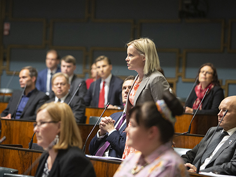Mer information om debatt i plenum.