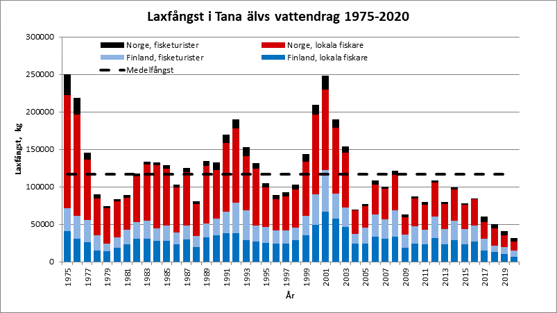 Laxfångsten i Tana älvs vattendrag (kg) 1975–2020.